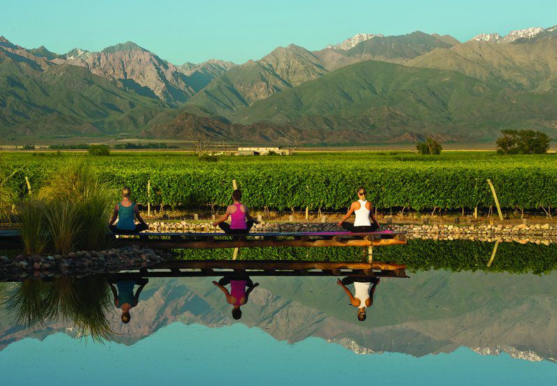 The Vines Resort & Spa Los Sauces  Eksteriør bilde