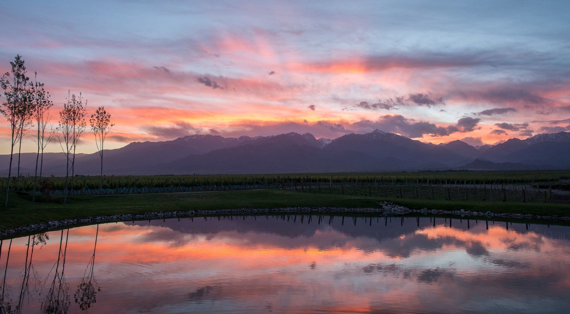 The Vines Resort & Spa Los Sauces  Eksteriør bilde